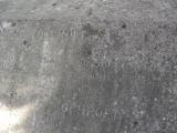 image of grave number 172571